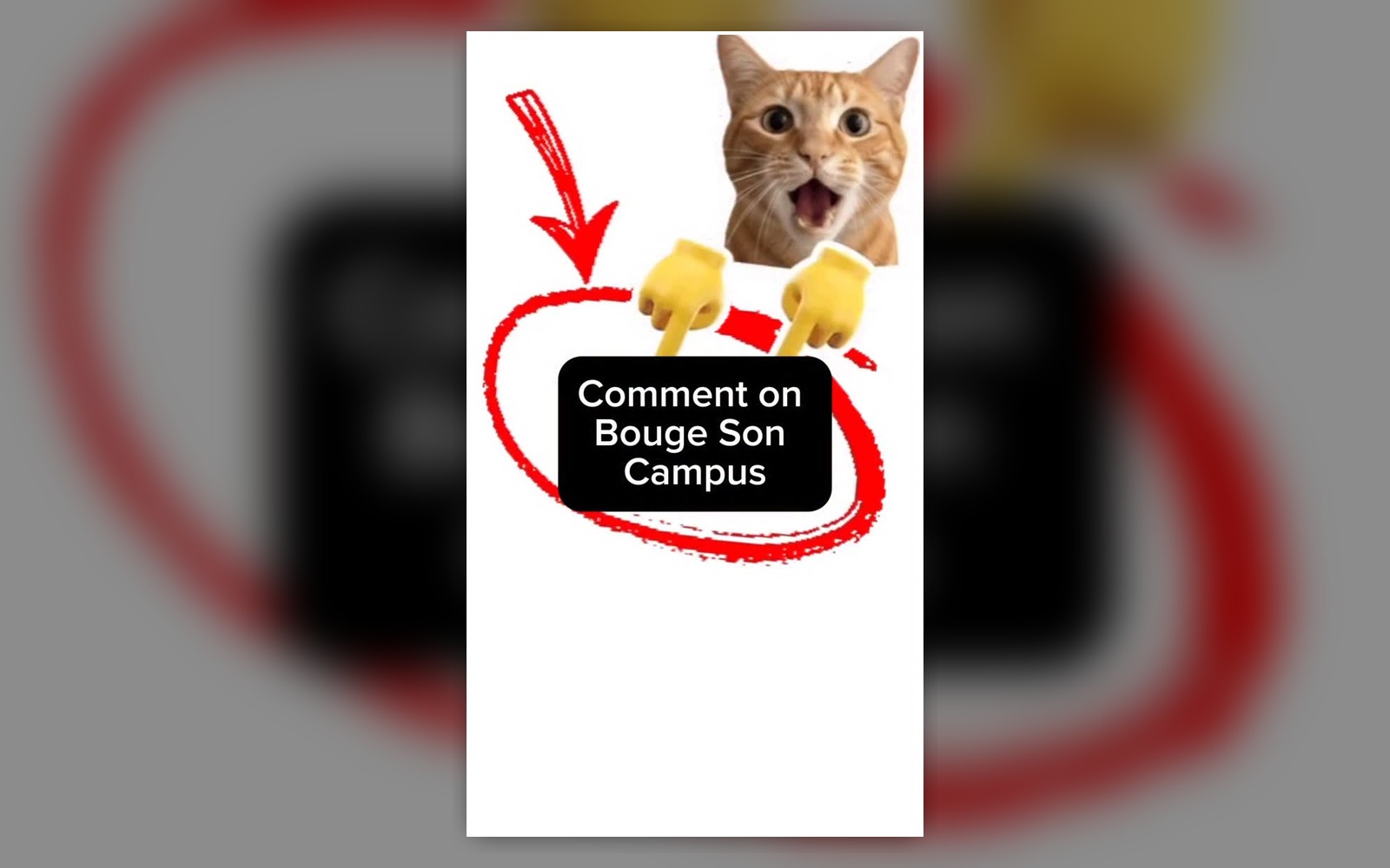 Visuel humoristique avec un chat pointant une zone entourée en rouge et le texte Comment on Bouge son Campus.