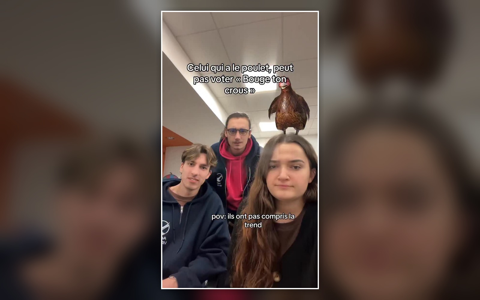 Capture d’une vidéo humoristique montrant trois jeunes membres de campagne et l’image ajoutée d’un poulet.